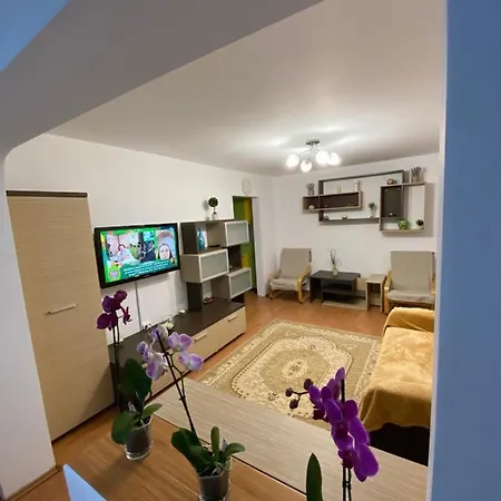 Apartament Andrei Apartment